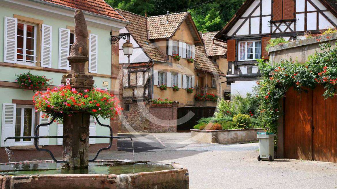 Courtyard Landscape