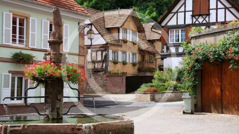 Courtyard Landscape